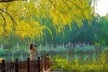 大象传媒2021精品-2021年大象传媒精品，创新与卓越的交响曲