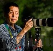 大象传媒户外-户外传媒新势力，大象传媒的非凡之旅