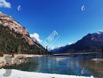 大象免费视频手游-探索大象免费视频手游的魅力与影响