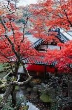 麻豆日记app下载免费版下载-启航生活新篇章，免费版麻豆日记App的下载之旅