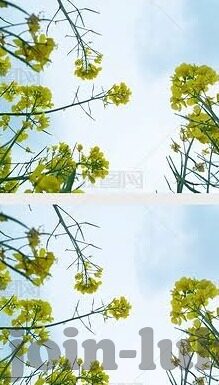 麻豆污视频-麻豆污视频，网络隐忧与青少年成长