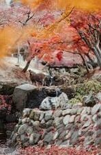 日韩av一区二区三区在线观看-日韩AV内容分区指南，一区、二区、三区的特色与观赏指南