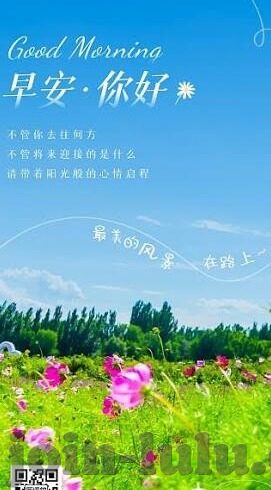 制服丝袜一区二区三区-时尚与功能并蓄，制服丝袜的魅力探索